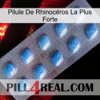 Pilule De Rhinocéros La Plus Forte viagra3